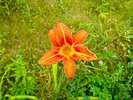 photo thumbnail #13
