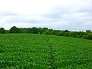 photo thumbnail #14