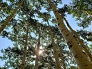 photo thumbnail #13