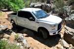 photo thumbnail #10