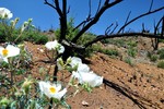 photo thumbnail #11