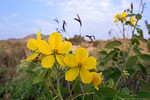 photo thumbnail #2