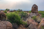 photo thumbnail #4