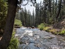 photo thumbnail #8