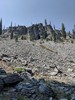 photo thumbnail #12