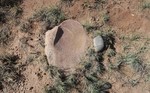 photo thumbnail #3