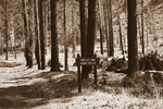 photo thumbnail #11