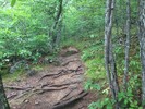 photo thumbnail #7
