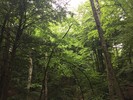 photo thumbnail #8