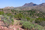 photo thumbnail #6