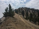 photo thumbnail #6