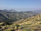 photo thumbnail #10