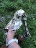 photo thumbnail #5