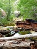 photo thumbnail #7