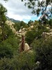photo thumbnail #14