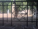 photo thumbnail #4