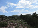 photo thumbnail #15
