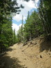 photo thumbnail #10