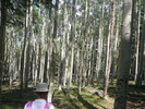 photo thumbnail #11