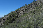 photo thumbnail #10