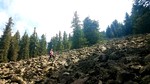 photo thumbnail #6
