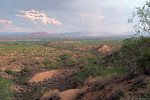 photo thumbnail #1