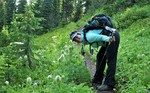photo thumbnail #2