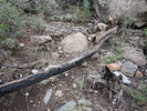 photo thumbnail #1