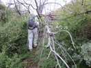 photo thumbnail #7