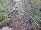 photo thumbnail #9