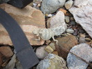 photo thumbnail #12