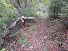 photo thumbnail #13