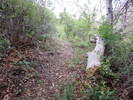 photo thumbnail #14