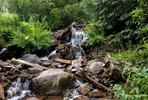photo thumbnail #1
