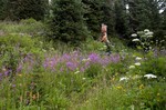 photo thumbnail #3
