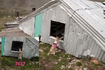 photo thumbnail #14