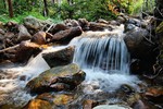 photo thumbnail #3