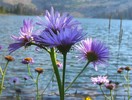 photo thumbnail #13