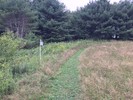 photo thumbnail #10