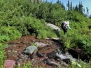 photo thumbnail #4