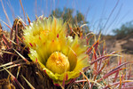 photo thumbnail #8