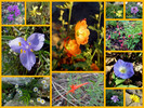 photo thumbnail #13