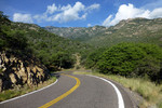 photo thumbnail #11