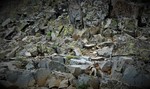 2018-07-28 :1: Triple Divide Pass from Atlantic Creek Camp :: tibber