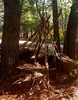 photo thumbnail #1