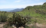 photo thumbnail #2