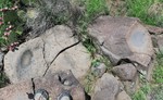 photo thumbnail #4