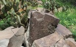 photo thumbnail #13