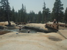 photo thumbnail #3