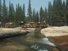photo thumbnail #4